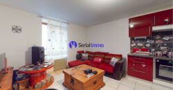 VENDU – Studio Pierre-la-Treiche