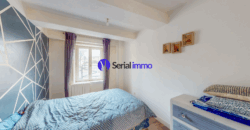 VENDU – Immeuble de rapport – 3 appartements – Saint-Nicolas-de-Port