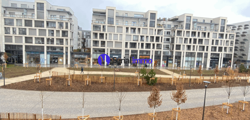 Appartement T3 – Nancy